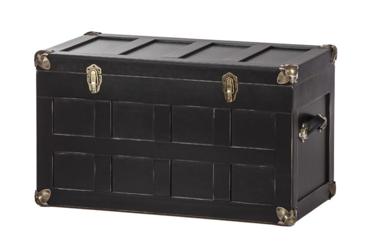 Trunk - 30.5" - Image 5